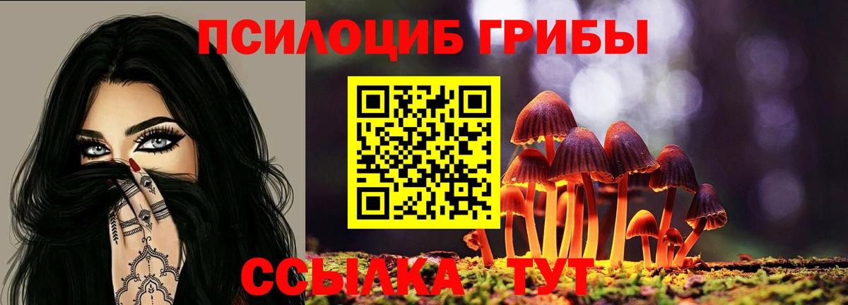 Галлюциногенные грибы Cubensis Ейск
