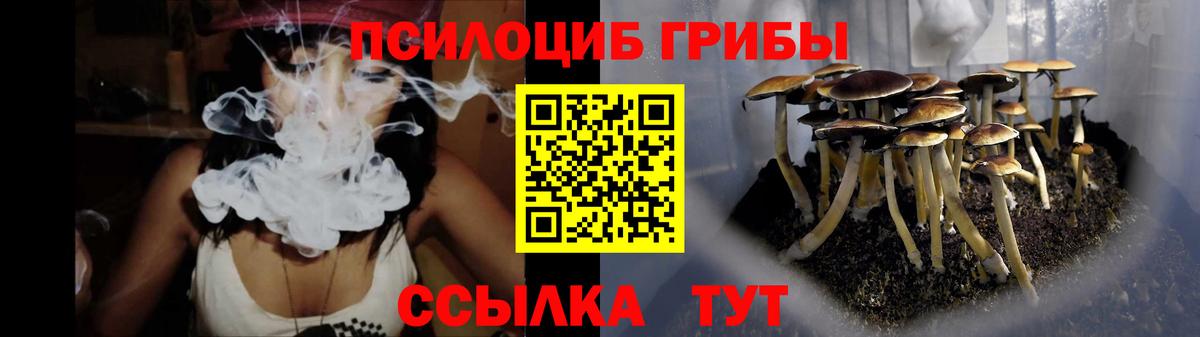 Галлюциногенные грибы Psilocybine cubensis  где купить наркотик  Ейск  Вход с VPN  Псилоцибиновые грибы MAGIC MUSHROOMS 